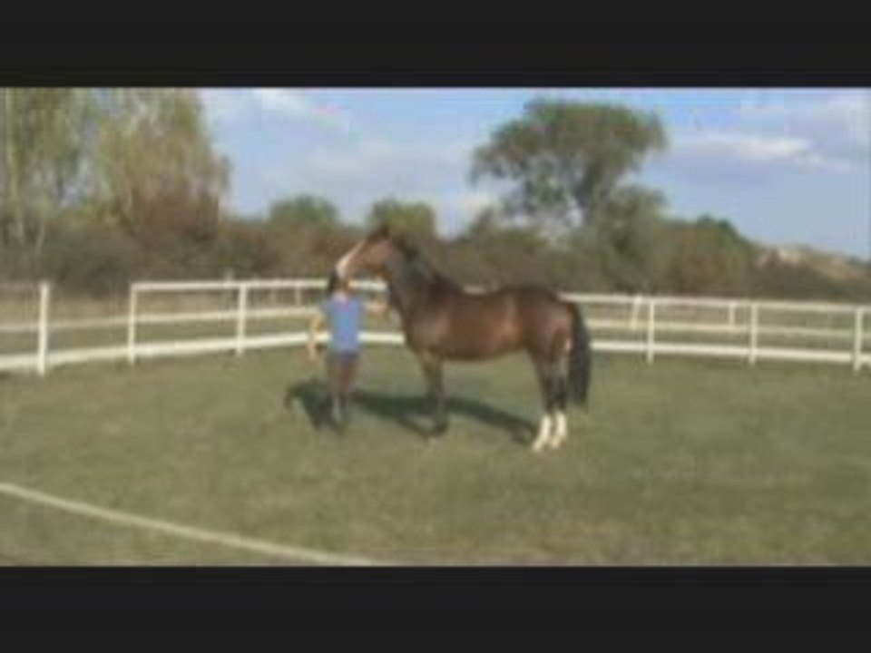 lola travail a pied et liberté du 26 septembre 2009