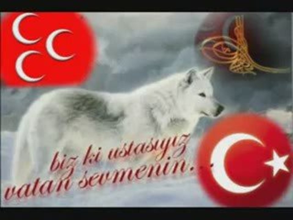 Turkun Turkusu