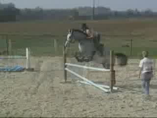 Ramses Bleu 1er parcours à la maison