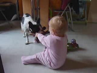 Juliette joue avec Arwen