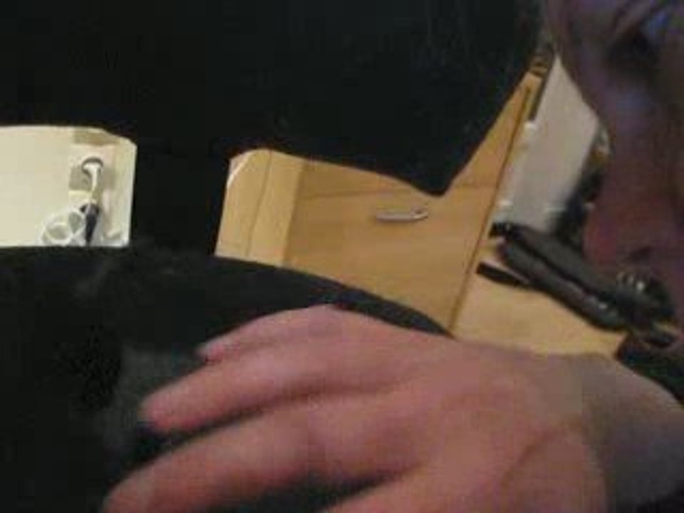 Kimi4