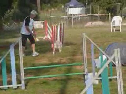 Anis - Open Brignoles