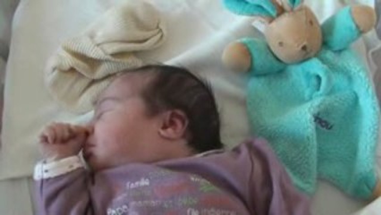 Alice - jour 1