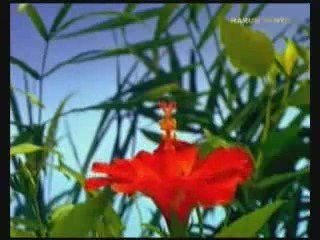 Allah Var Mı Yok Mu İzleyin Anlayın