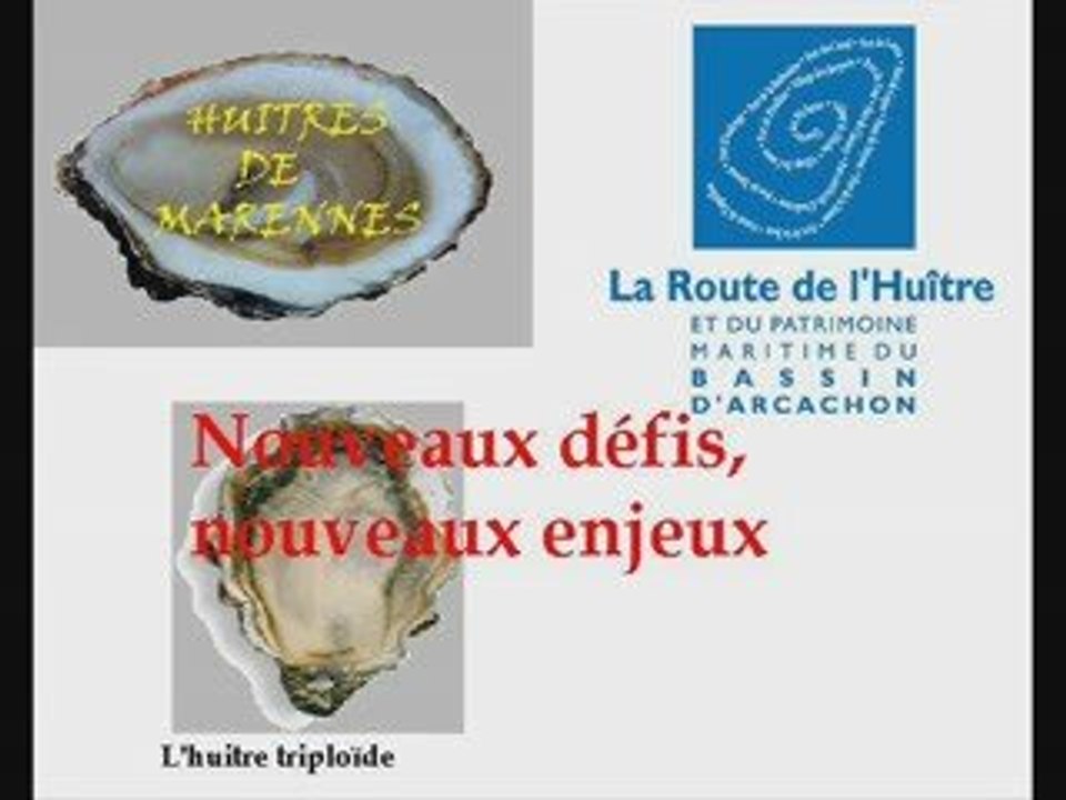 tpe ostréiculture