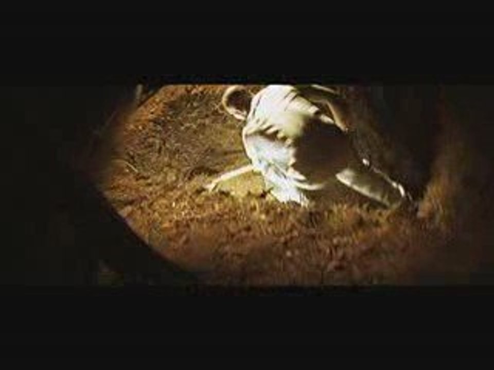 VICE CLIP SOMBRITUDE HIGH QUALITY !!!