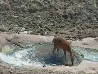 Riachuelo en Terra Natura