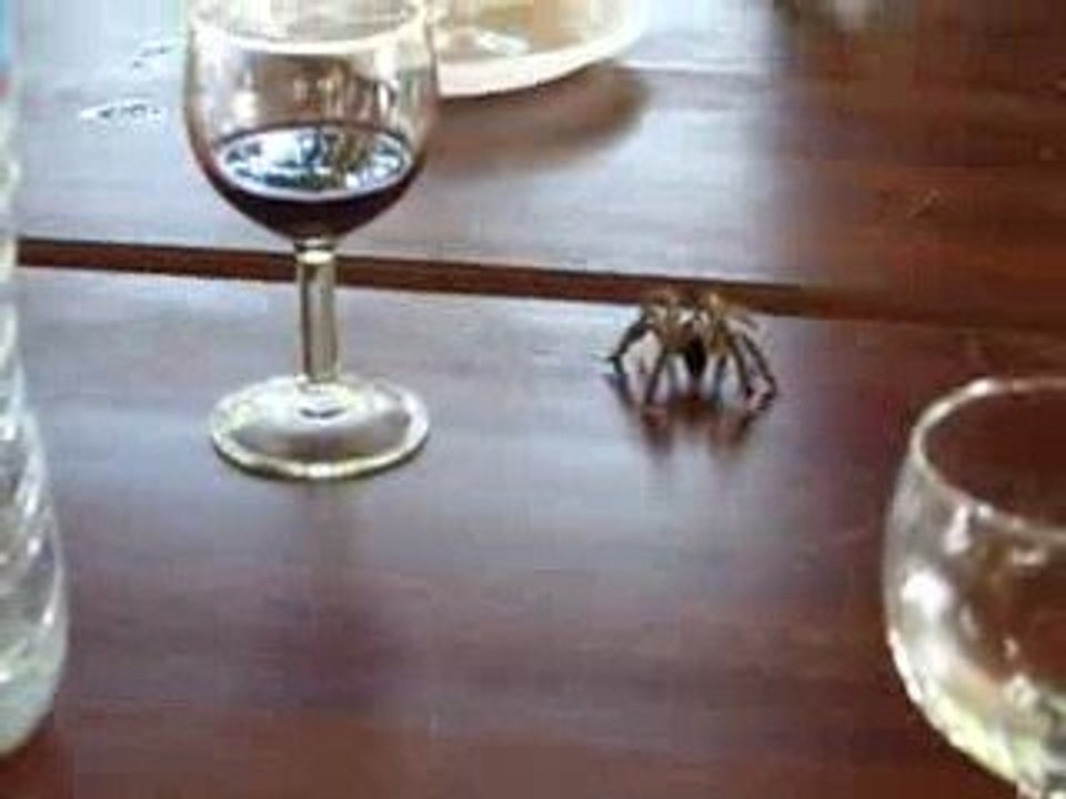 matoutou au resto