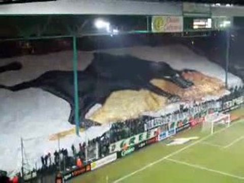 Tifo Green Angels St Etienne-Lyon 2005