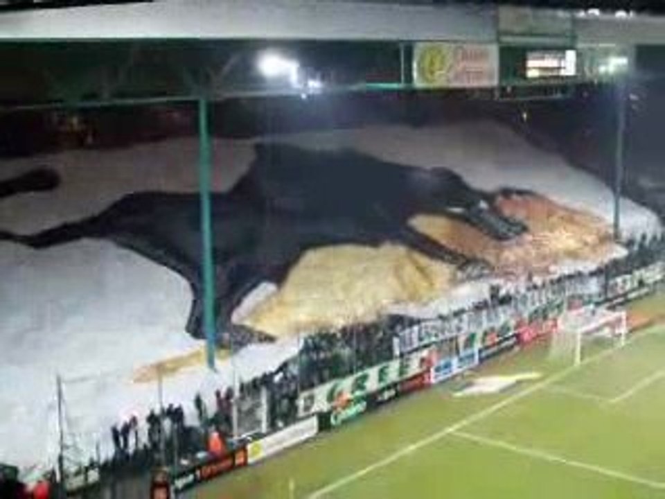 Tifo Green Angels St Etienne-Lyon 2005
