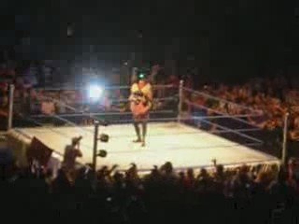 Bercy fin de undertaker vs cm punk