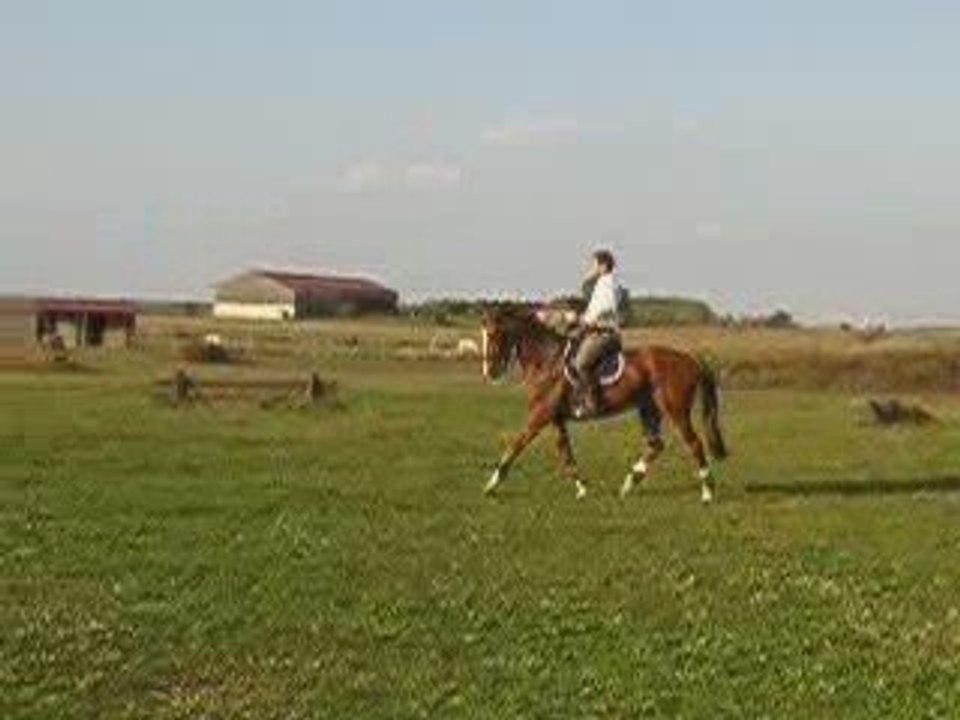 looping croze 5
