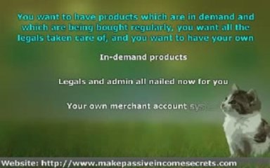 Want A Passive Income Business? - If you wanted a car would