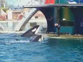 marineland part 2