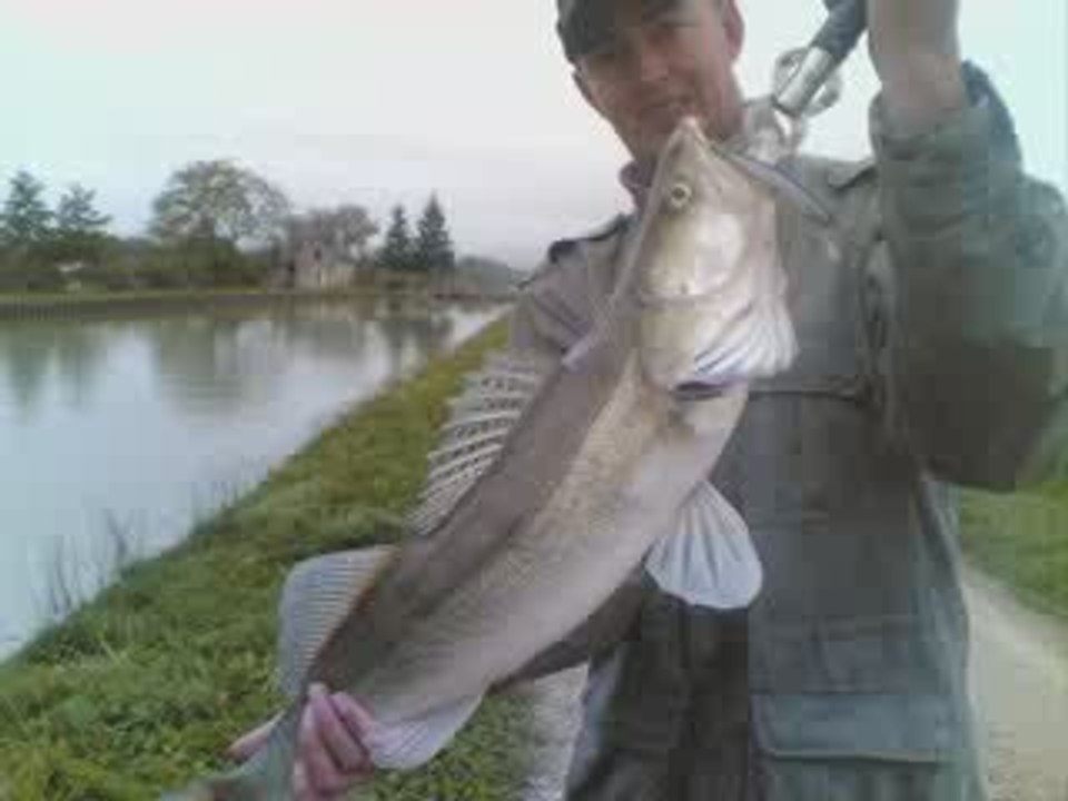 Casting,quand tu nous tiens !!!