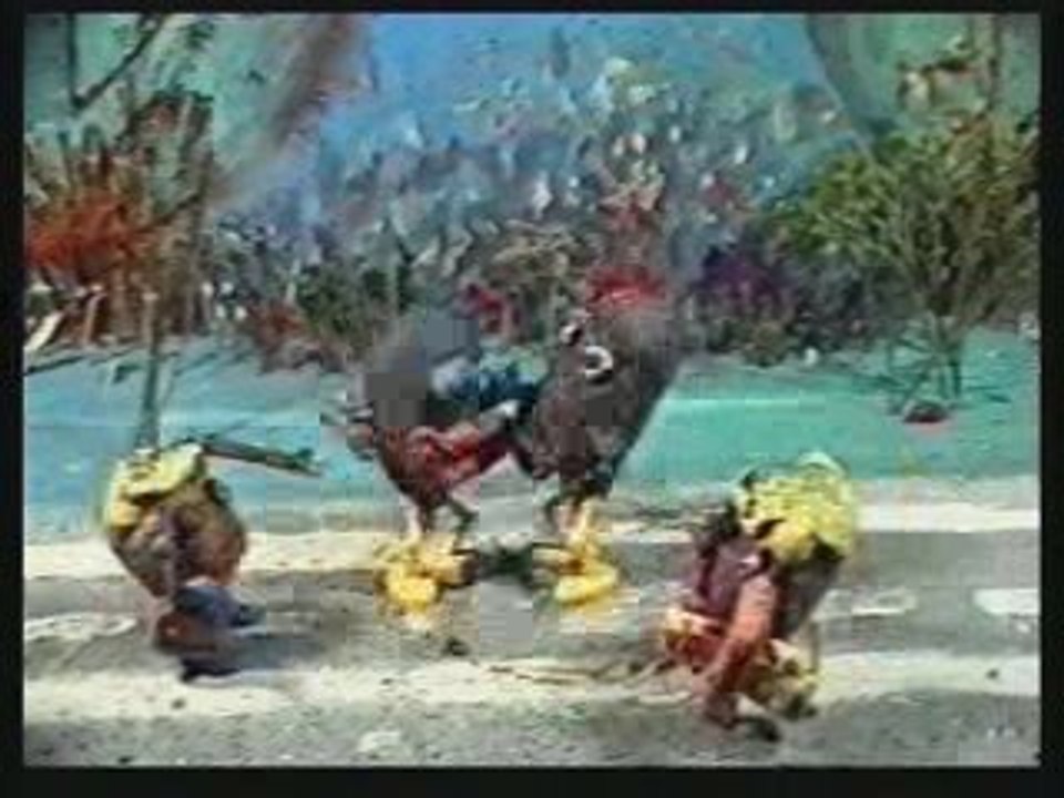 Rap Patate