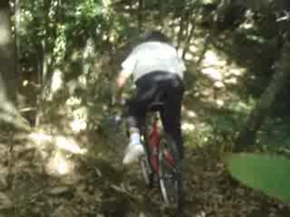 descente "claude" a dingé