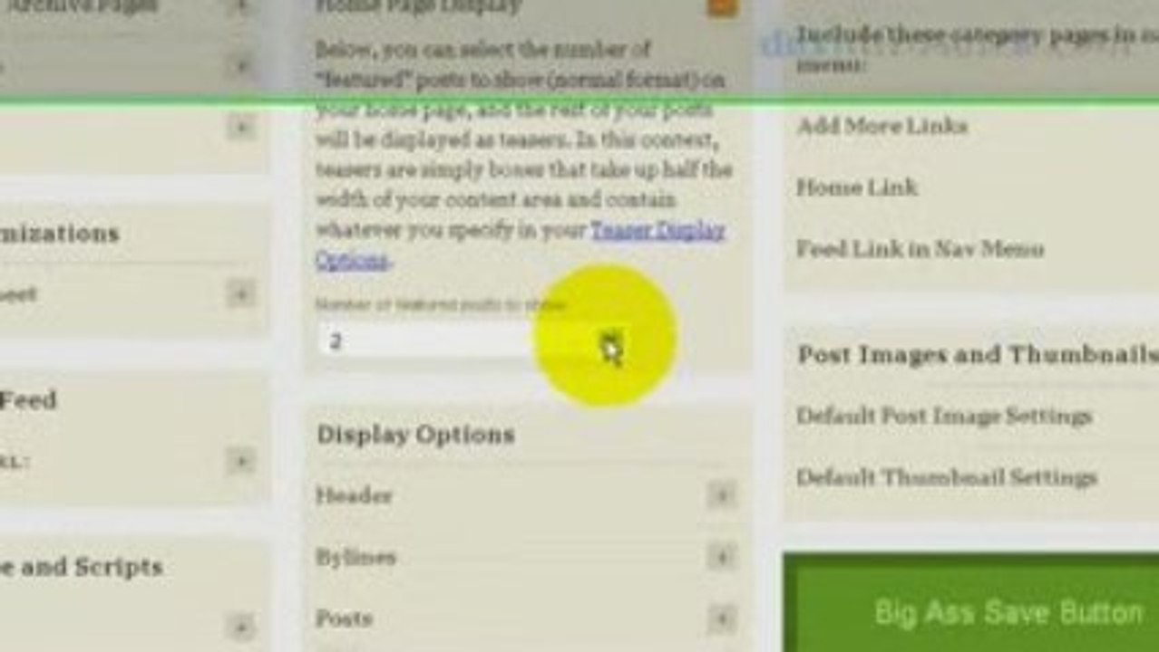 Video Review: Using Wordpress and Thesis Theme