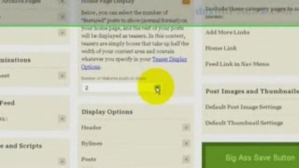 Video Review: Using Wordpress and Thesis Theme
