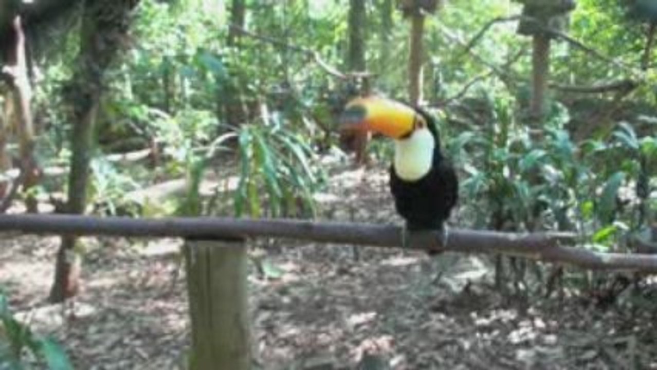 Parc GuiraOga