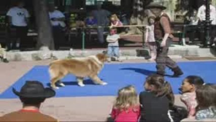 obéi rythmée country