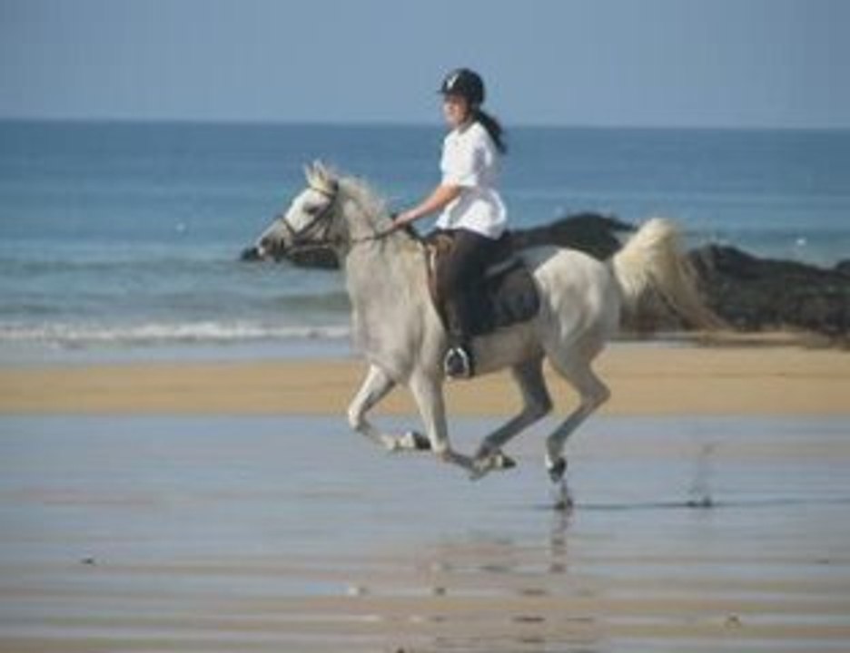 Happy day to Cotonard