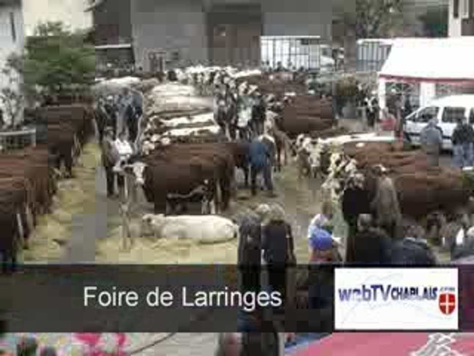 Foire de Larringes 2009