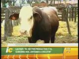 Crecimiento de la ganadería en Salta