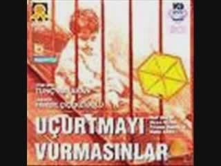 Uçurtmayı Vurmasınlar irfancakir@gmail.com