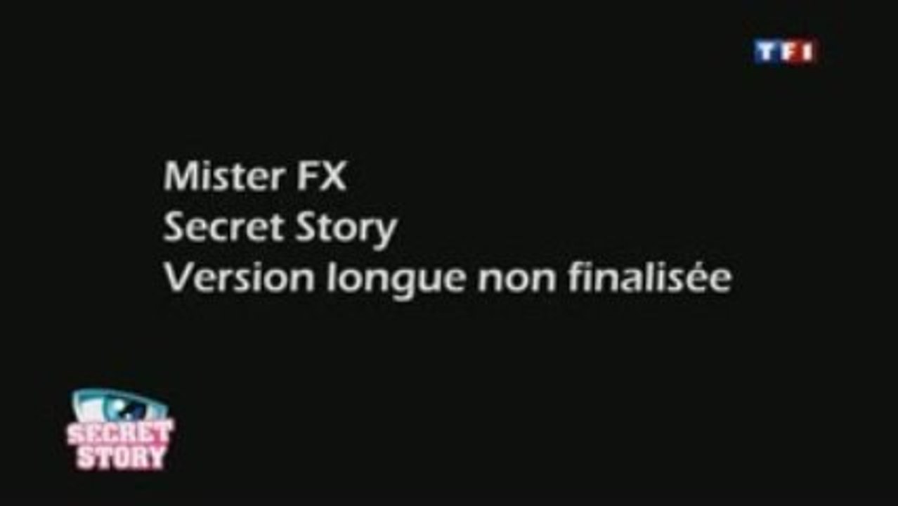 Mister FX (Secret Story 3)