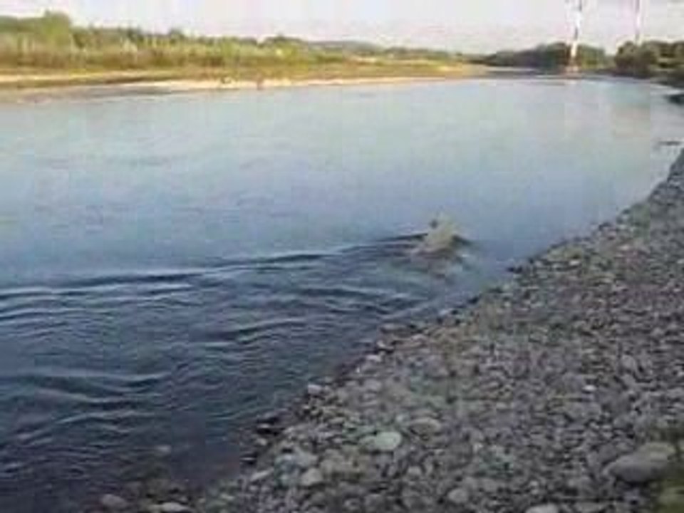 Baignade dans la durance
