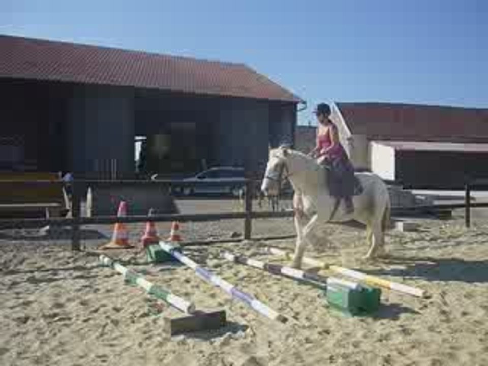 Flann 27/09/09 séance obstacles, passage des cavalettis