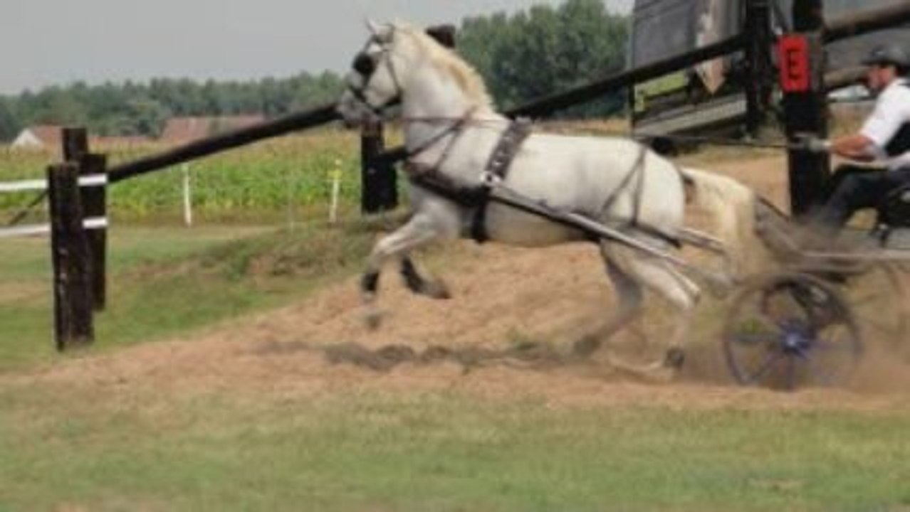 Bornem 2009