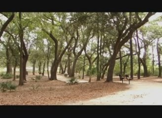 Daniel Island Homes - Barfield Park - Daniel Island