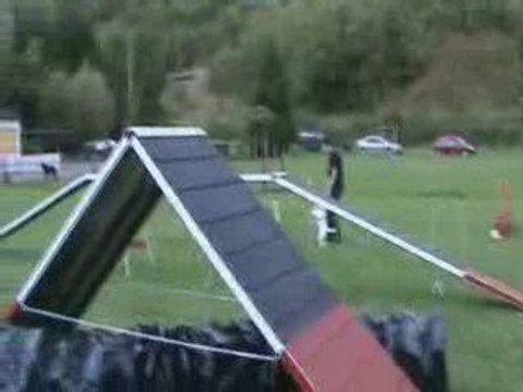 premier entrainement extérieur agility