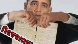 Obamanation and the Constitution