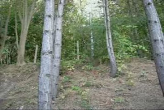 airsoft 27 septembre 2009 team de fuckville