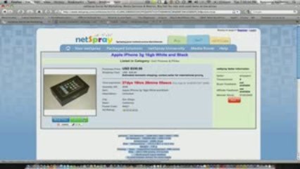 How to place a netSpray widget in a Craigslist Classified Ad
