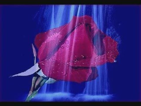 kamel raiah adjetiyi adhahkough