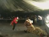 Lion Dance Performance