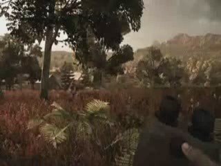 operation flash point dragon rising