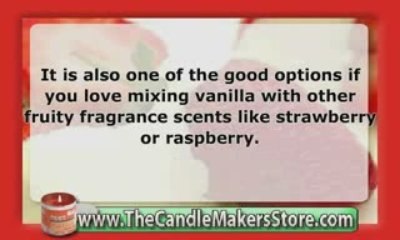 Candle Fragrance Oil: Vanilla & Fresh Berries Fragrance