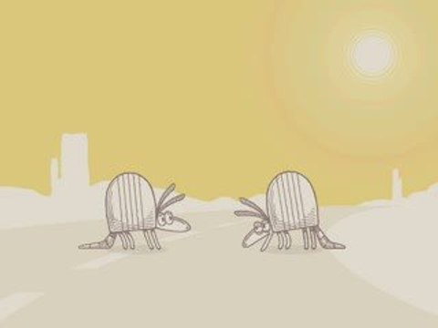 Nature Break - Armadillos #03
