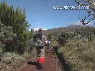 Mauly Tours - Mount Kilimanjaro Expedition - Tanzania