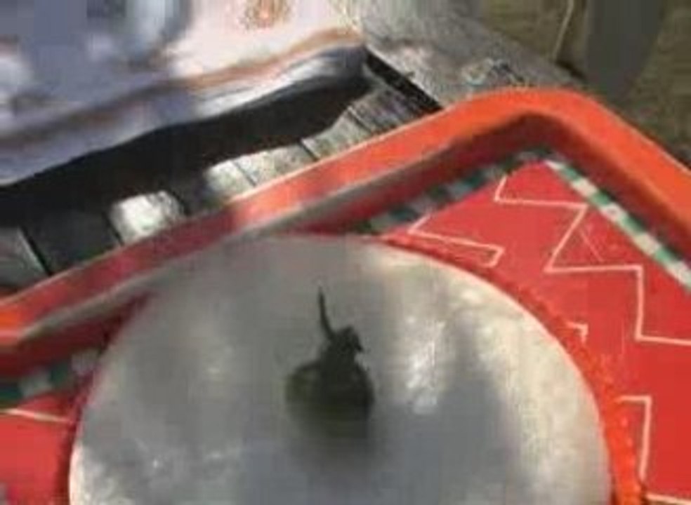 Un jardin, une dégustation