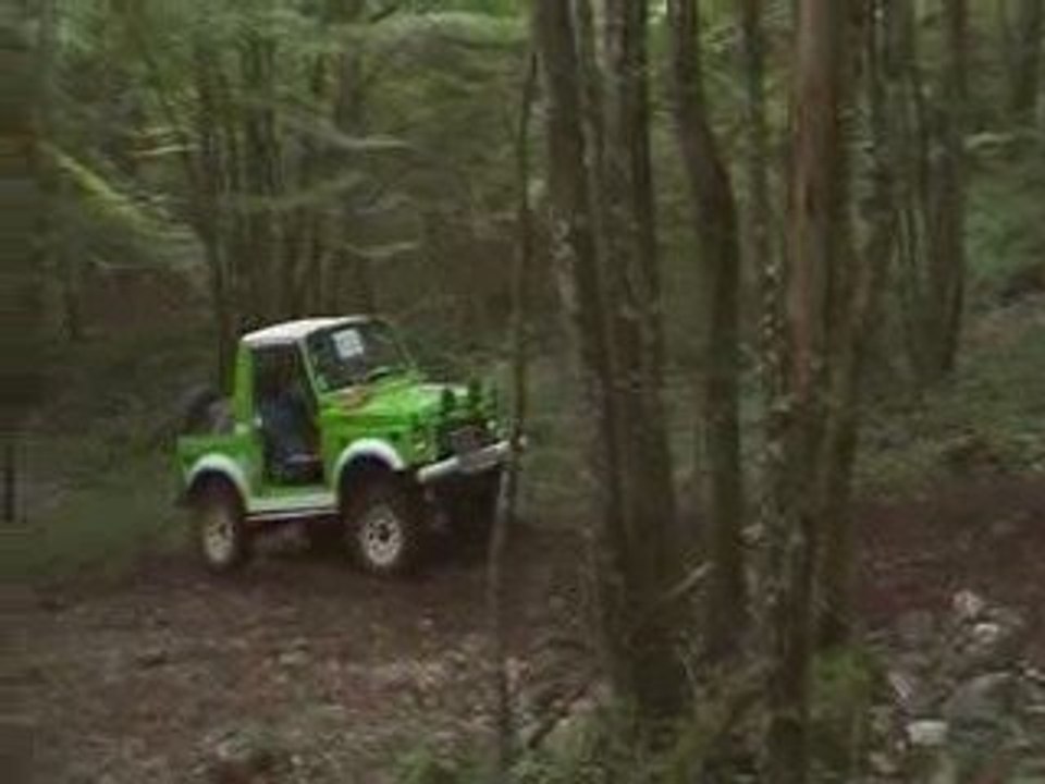 foulain 2009
