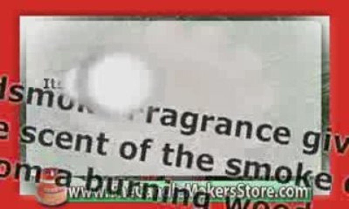 Candle Fragrance Oil: Woodsmoke Fragrance