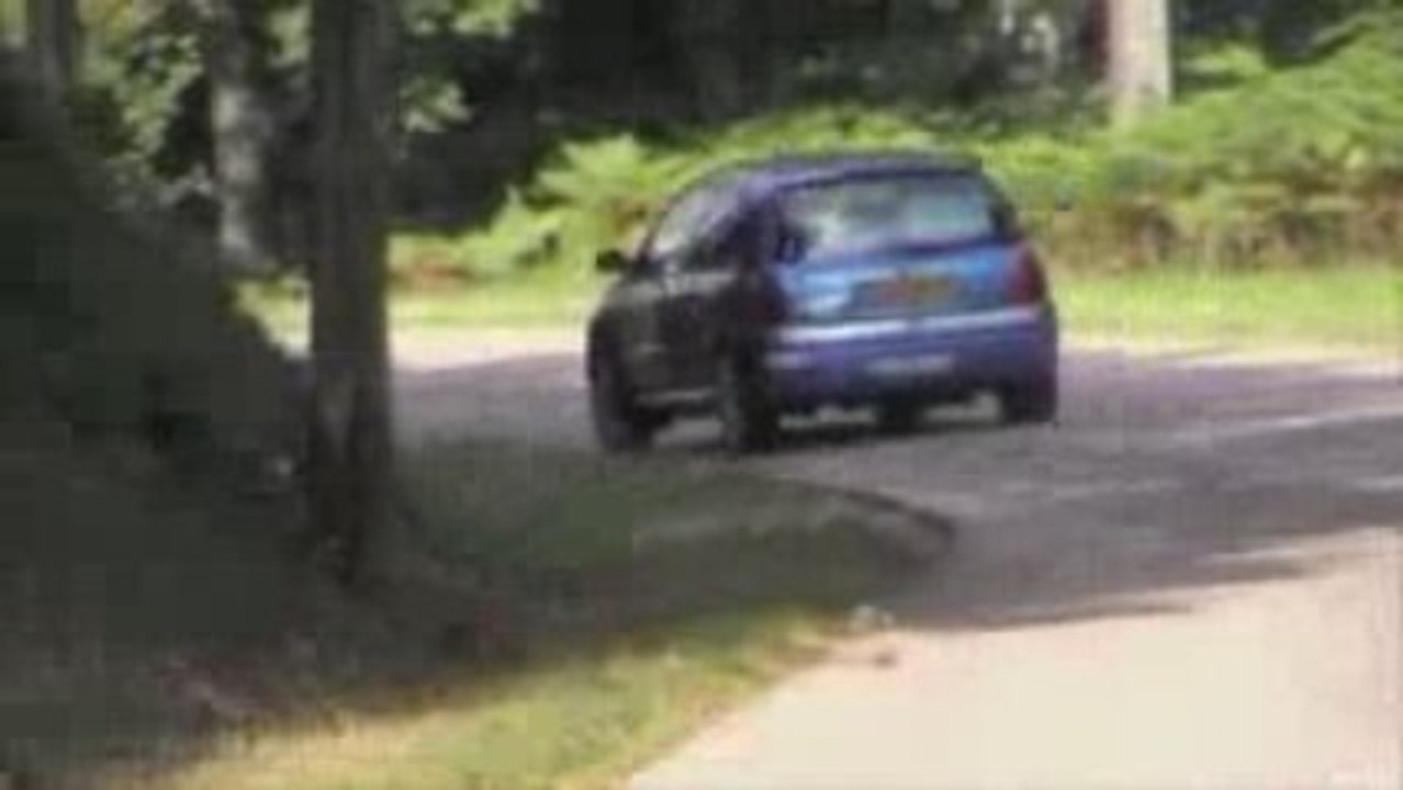 Rallye de la Chataigne 2009 à AUTUN