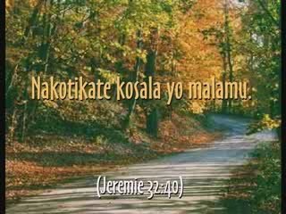 Lingala: Father's Love Letter