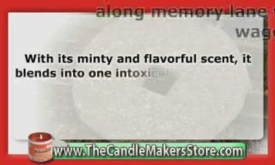 Candle Fragrance Oil: Antique Cider Fragrance